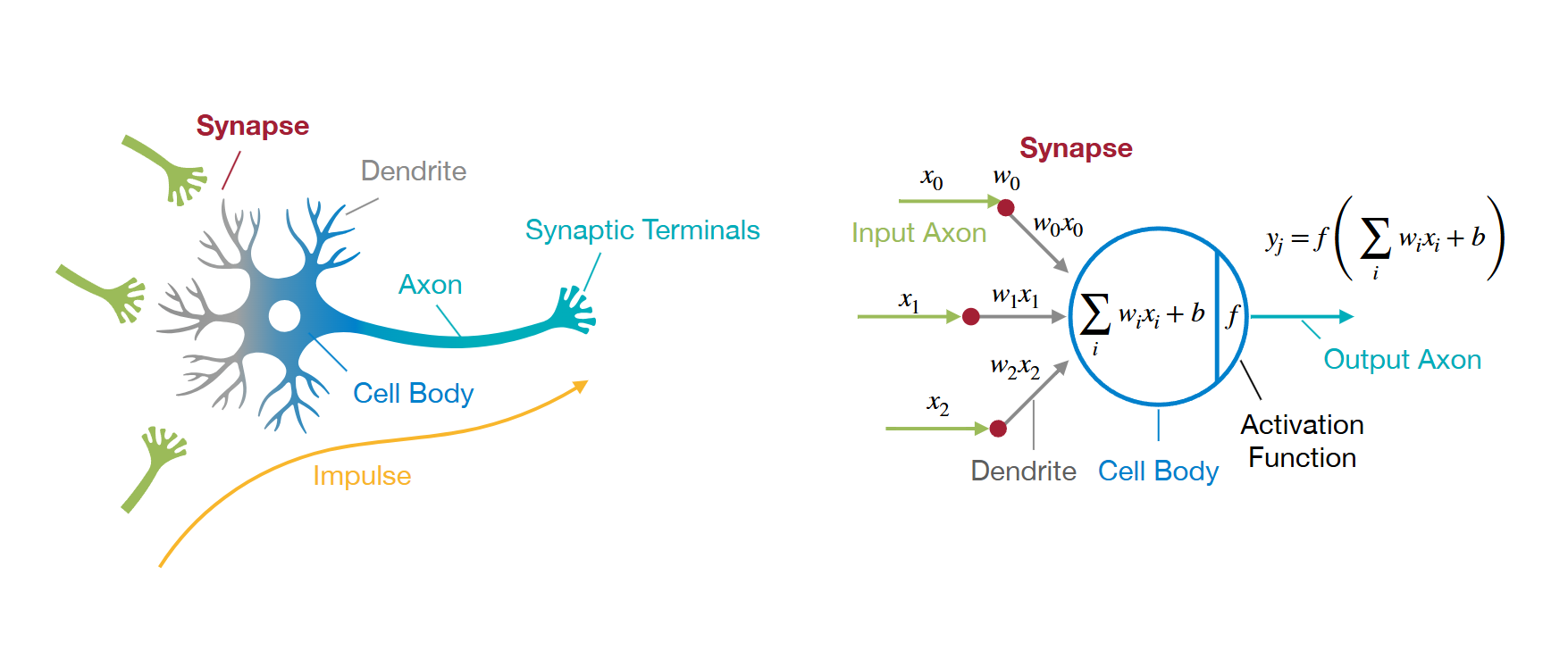 image-20250407143046957